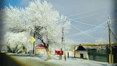 Zakon.kz, фото - Новости Zakon.kz от 02.01.2014 22:40