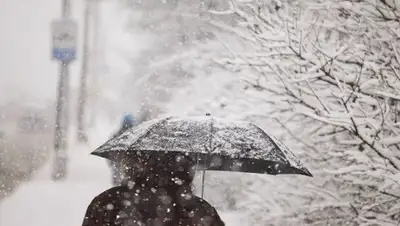 pixabay.com, фото - Новости Zakon.kz от 24.01.2020 10:03