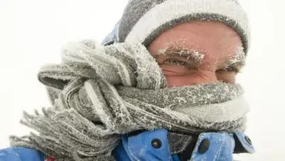 Вісті Придніпров'я, фото - Новости Zakon.kz от 06.02.2019 10:13