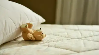 pixabay.com, фото - Новости Zakon.kz от 25.04.2019 19:32