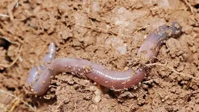 Zakon.kz, фото - Новости Zakon.kz от 15.04.2016 15:55