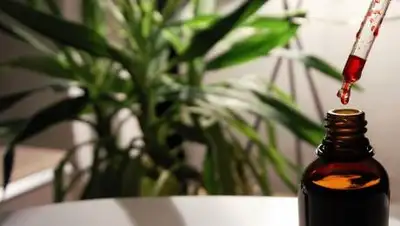 pixabay.com, фото - Новости Zakon.kz от 08.01.2021 11:46