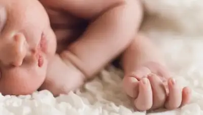 Zakon.kz, фото - Новости Zakon.kz от 29.06.2016 17:03