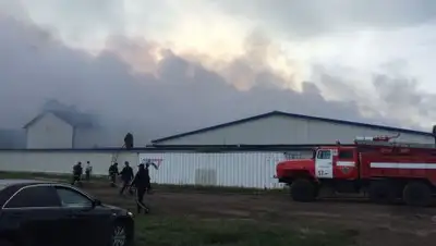 Zakon.kz, фото - Новости Zakon.kz от 21.07.2017 18:33