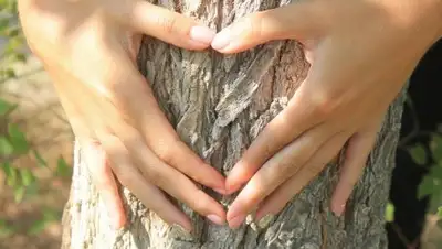 Zakon.kz, фото - Новости Zakon.kz от 07.09.2017 17:32