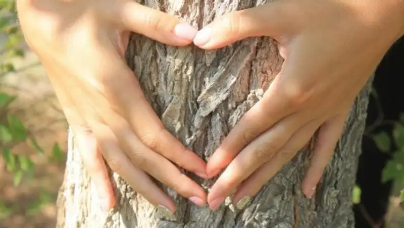 В Актау высадят деревья в честь посмертных доноров органов