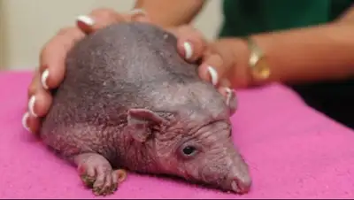 Zakon.kz, фото - Новости Zakon.kz от 22.10.2016 15:07