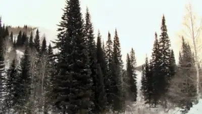 Zakon.kz, фото - Новости Zakon.kz от 22.12.2016 20:07