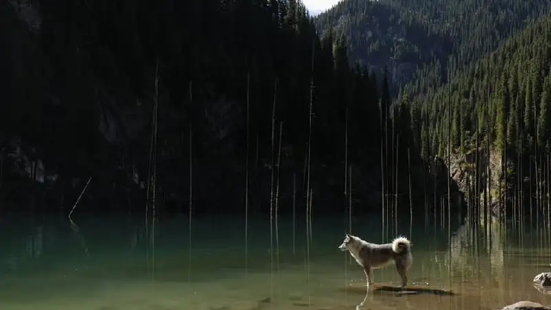 Озеро Каинды сняли на видео с высоты птичьего полета