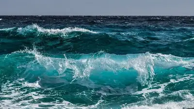 В Австралии прошел крупнейший "голый" заплыв, фото - Новости Zakon.kz от 14.03.2023 08:47