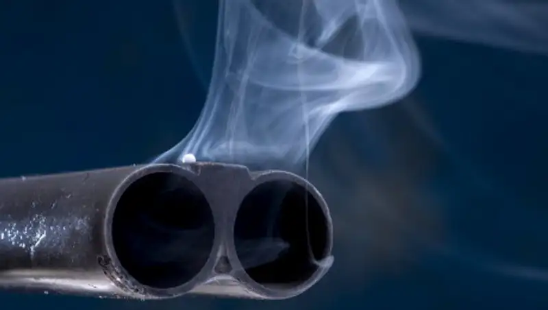 Дочь застрелила отца по его просьбе