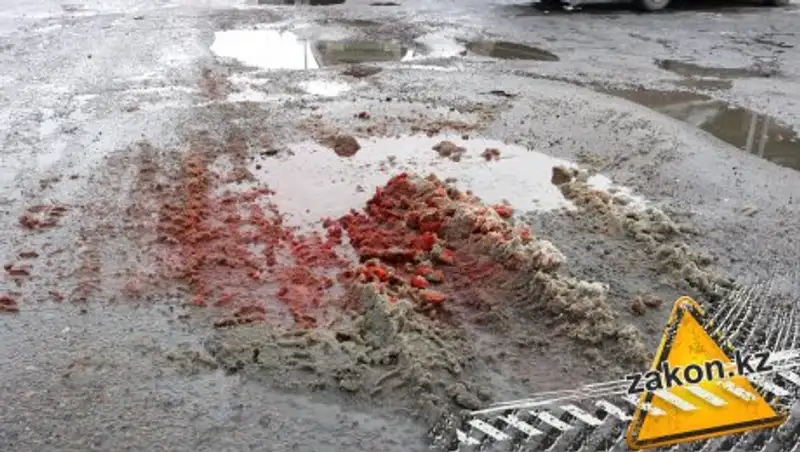 Мусоровоз насмерть переехал молодого человека под Алматы