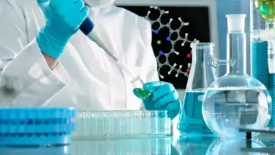 szaopressa.ru, фото - Новости Zakon.kz от 19.08.2019 17:36