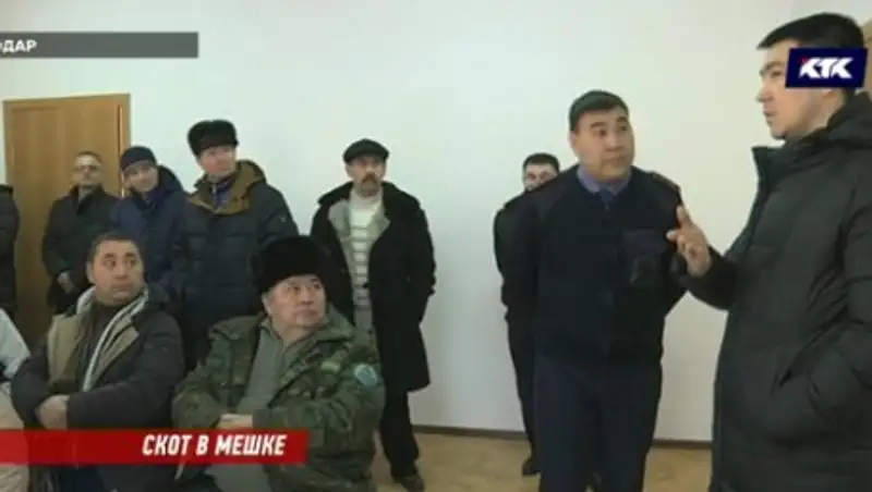 Павлодарские скотокрады разделывают туши в сараях хозяев