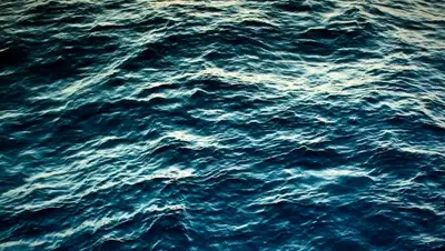 Zakon.kz, фото - Новости Zakon.kz от 11.06.2015 13:56