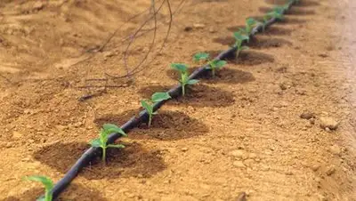 Zakon.kz, фото - Новости Zakon.kz от 09.04.2014 18:30