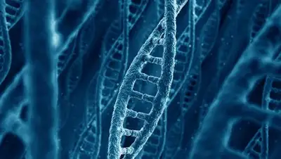 © Depositphotos / zentilia, фото - Новости Zakon.kz от 28.11.2018 17:28