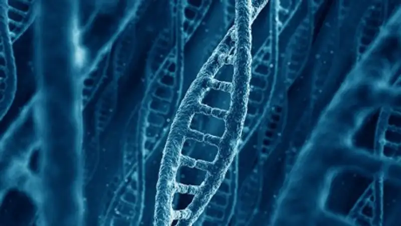 Изменивший ДНК эмбриона китайский ученый горд достижением