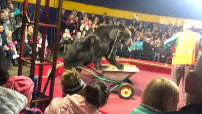 vk.com/ Галина Гурьева, фото - Новости Zakon.kz от 24.10.2019 07:39