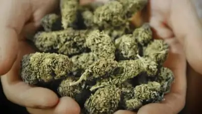 Zakon.kz, фото - Новости Zakon.kz от 22.11.2017 12:47