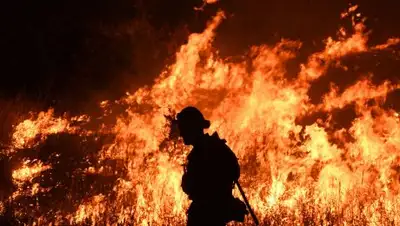 Соцсети, фото - Новости Zakon.kz от 29.11.2018 08:41