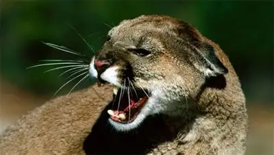 Zakon.kz, фото - Новости Zakon.kz от 03.02.2014 21:06