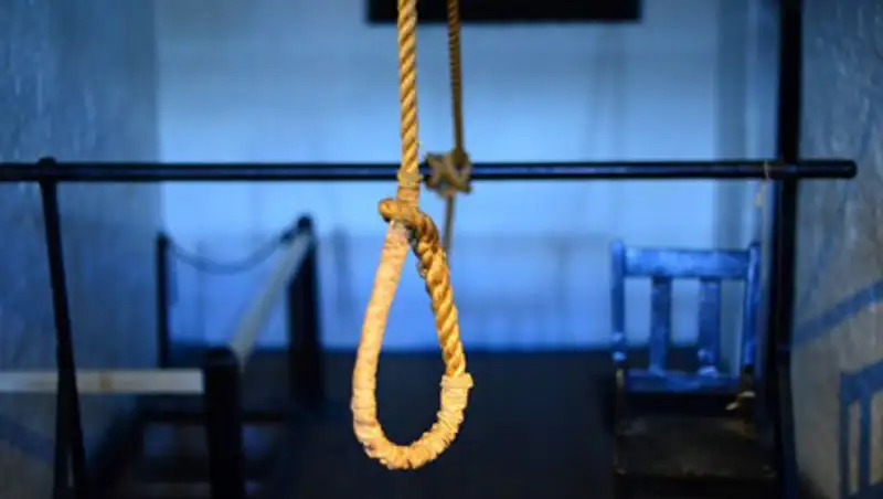 Братья-близнецы из Украины совершили двойной суицид в Подмосковье