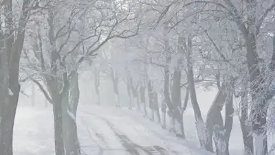 Zakon.kz, фото - Новости Zakon.kz от 07.02.2015 15:00