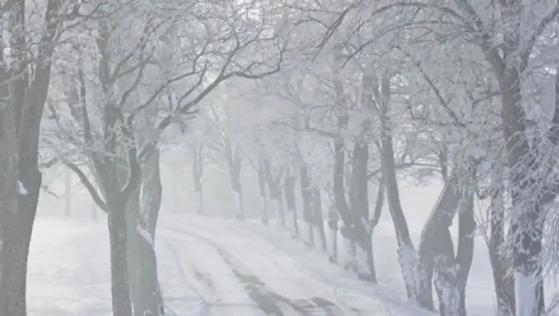 Снег ожидается на большей части Казахстана в субботу