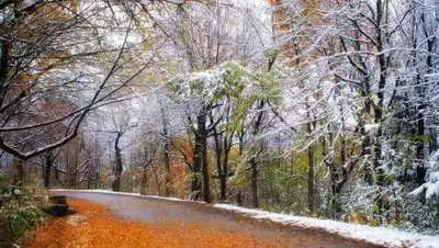 zakon.kz., фото - Новости Zakon.kz от 30.11.2020 06:00