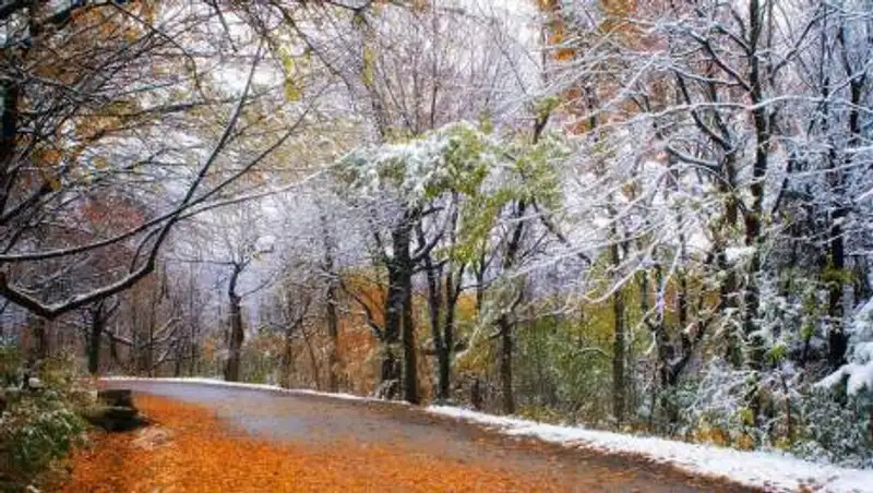 30 ноября местами по РК ожидаются туман, низовая метель и гололед