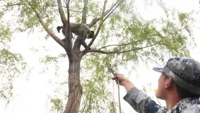 Zakon.kz, фото - Новости Zakon.kz от 25.08.2015 05:28