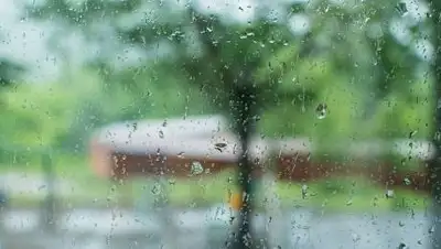 pixabay.com, фото - Новости Zakon.kz от 16.07.2021 16:49