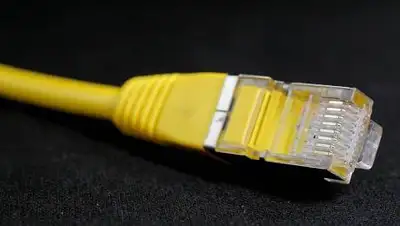 Pixabay, фото - Новости Zakon.kz от 20.11.2020 10:11