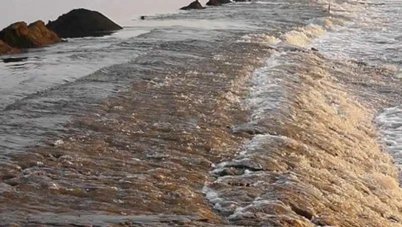 Вода перекрыла дорогу к дому отдыха в Павлодарской области