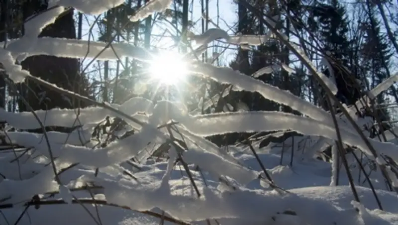 16 февраля практически на всей территории Казахстана ожидается погода без осадков