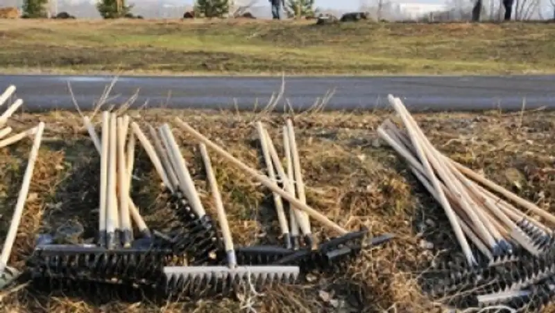 150 улиц Шымкента очистили горожане во время субботника