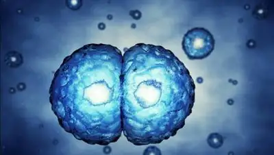 innotechnews.com, фото - Новости Zakon.kz от 16.10.2020 14:55