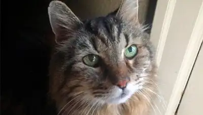 Zakon.kz, фото - Новости Zakon.kz от 03.12.2016 18:08