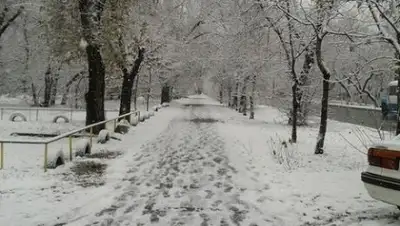 Zakon.kz, фото - Новости Zakon.kz от 04.02.2017 19:28