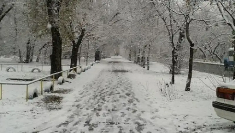 Рекордное количество снега выпало в Алматы
