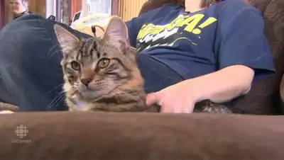 Zakon.kz, фото - Новости Zakon.kz от 23.01.2015 16:28