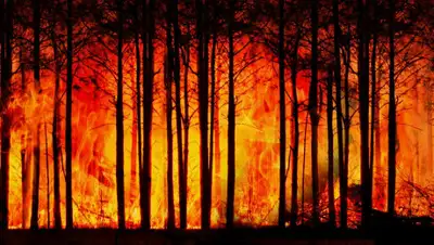 Pixabay, фото - Новости Zakon.kz от 12.06.2020 18:28