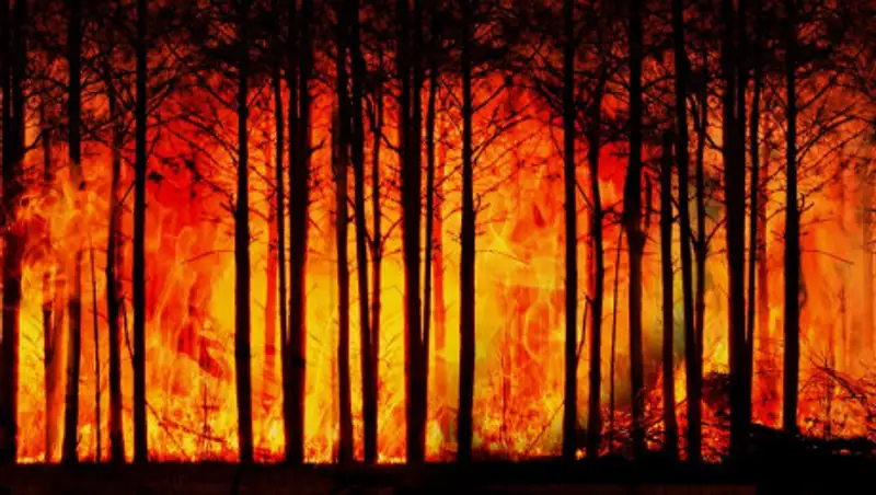 В пяти регионах Казахстана объявлено штормовое предупреждение