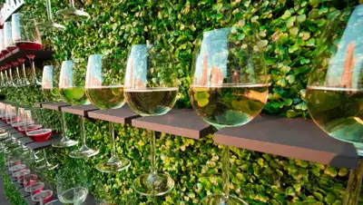 "Бахус", фото - Новости Zakon.kz от 05.03.2020 09:00