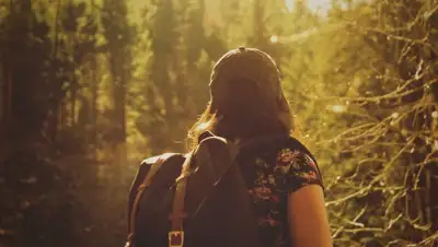 Pixabay, фото - Новости Zakon.kz от 29.05.2020 16:21