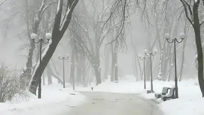 Zakon.kz, фото - Новости Zakon.kz от 23.02.2017 12:00