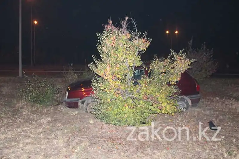 Водитель Фольксвагена «не вписался» в поворот и вылетел с дороги, перевернувшись (фото) Водитель Фольксвагена «не вписался» в поворот и вылетел с дороги, перевернувшись (фото), фото - Новости Zakon.kz от 01.11.2013 21:37