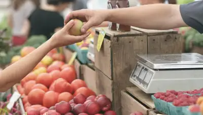 Pixabay, фото - Новости Zakon.kz от 26.06.2020 21:53