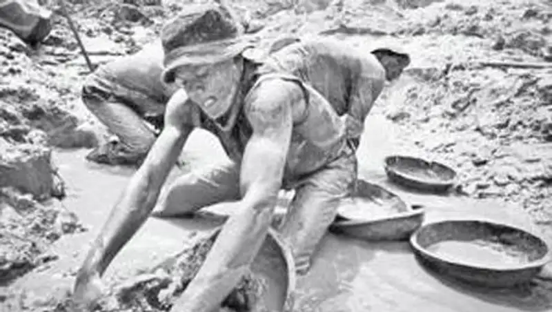 Группа черных старателей напала на стражей порядка и похитила мешки с золотым концентратом